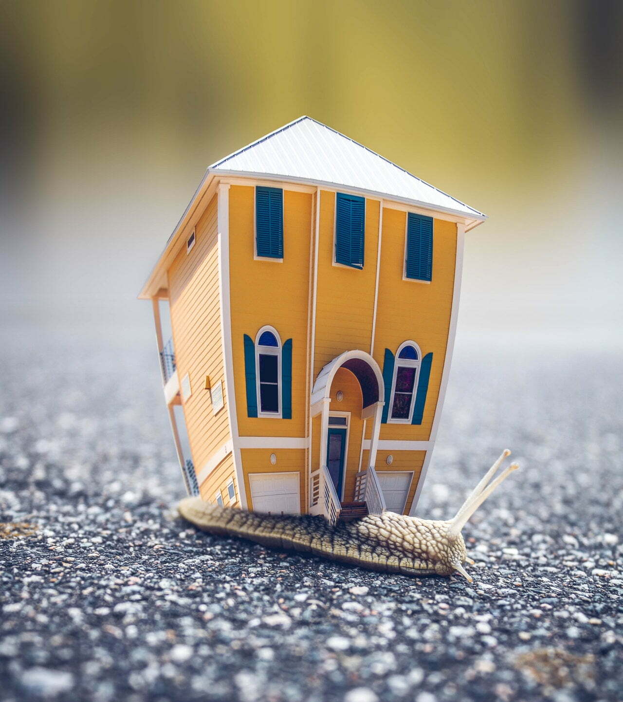 a small yellow house